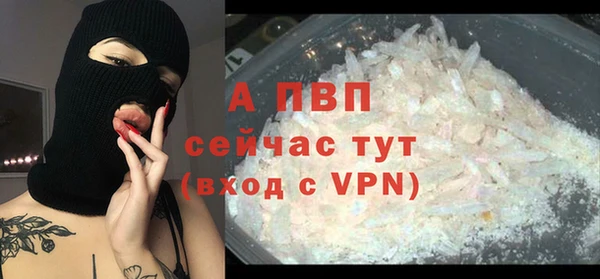 индика Майский