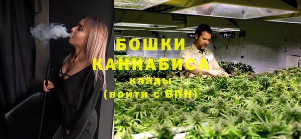 спайс Ладушкин