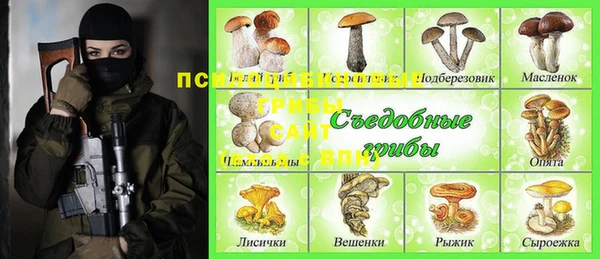 PSILOCYBIN Лихославль