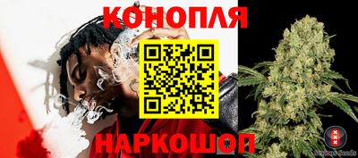 прущие грибы Волгодонск