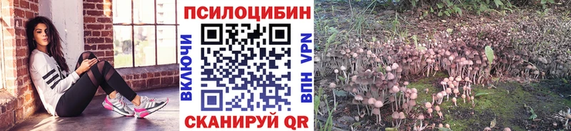 это формула  блэк спрут сайт  Ливны  дарнет шоп  Псилоцибиновые грибы прущие грибы 
