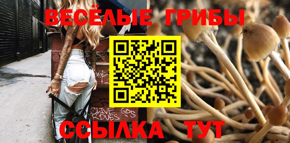 Галлюциногенные грибы мухоморы  Вход с VPN  цены наркотик  Ливны 