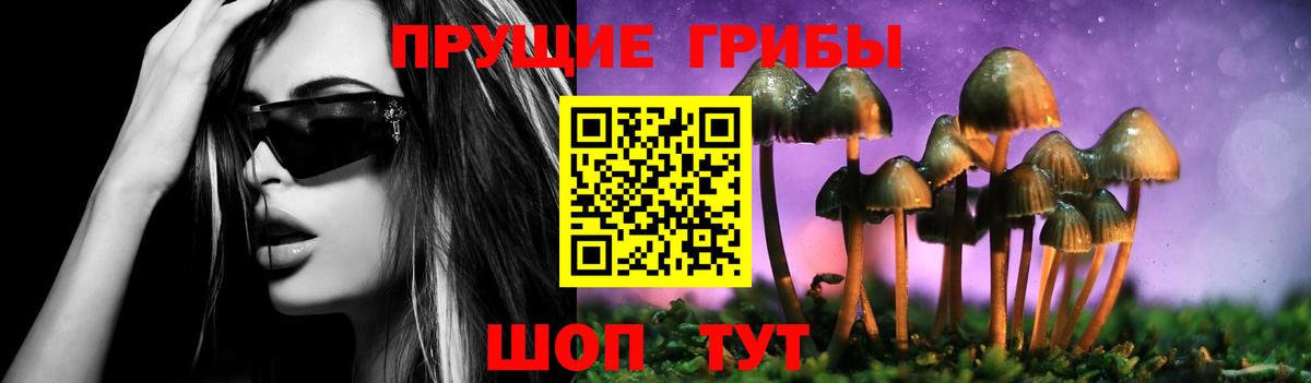 Галлюциногенные грибы MAGIC MUSHROOMS Ливны